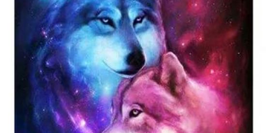 Imagem do grupo de WhatsApp Sala de espera