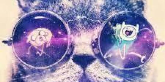 Imagem do grupo de WhatsApp Doce veneno