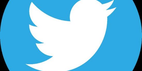 Imagem do grupo de WhatsApp Engajamento no Twitter