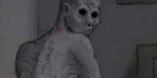 Imagem do grupo de WhatsApp Divulgação