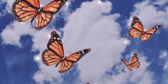 Imagem do grupo de WhatsApp ♥︎New friends♥︎