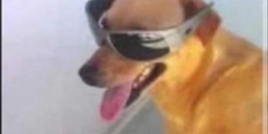 Imagem do grupo de WhatsApp Amigos pra sempreee 2.0