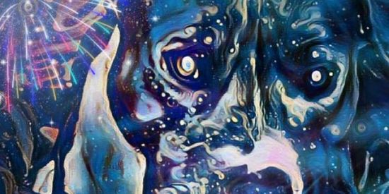 Imagem do grupo de WhatsApp A vida dos loucos