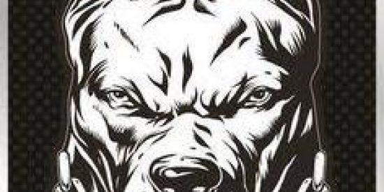 Imagem do grupo de WhatsApp PITBULL'S DF 🔰💯 💪🏽