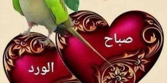 Imagem do grupo de WhatsApp 💓  HaBiBi  💓