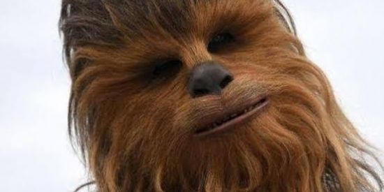 Imagem do grupo de WhatsApp Não me odeiem eu amo vcs