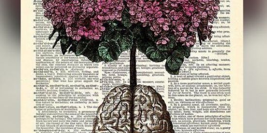 Imagem do grupo de WhatsApp Redação nota 1000! 📝