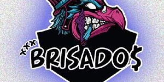 Imagem do grupo de WhatsApp BRISADOS!!!