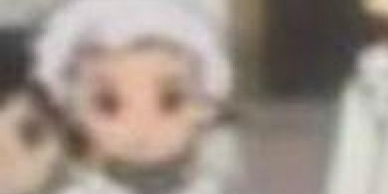 Imagem do grupo de WhatsApp YEASSSS KEEENNN