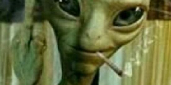 Imagem do grupo de WhatsApp 🆅🆁🅰🆄 🔞 🇳 🇪 🇱 🇦 🇸 🔥