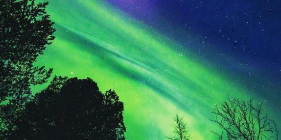 Imagem do grupo de WhatsApp Uma vibe meio sll e afins ✨🌻