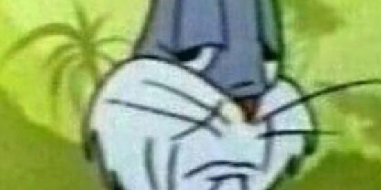 Imagem do grupo de WhatsApp Memes_aleatorios🤪