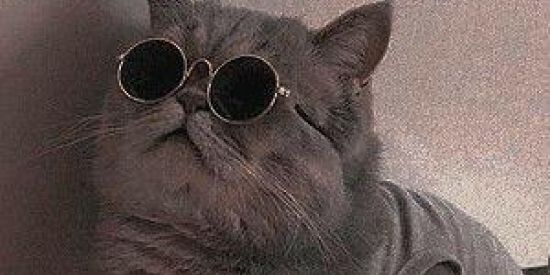 Imagem do grupo de WhatsApp ❕GRUPO DE VIEWS❕