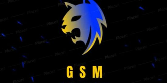 Imagem do grupo de WhatsApp GMS E ESPORTS