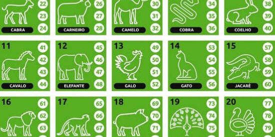 Imagem do grupo de WhatsApp Resultado de jogo de Bixo