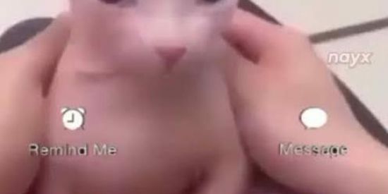 Imagem do grupo de WhatsApp хватит гребаная полоса