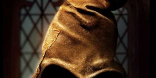 Imagem do grupo de WhatsApp Chapéu Seletor