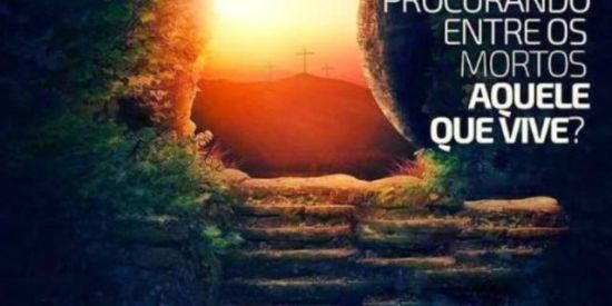 Imagem do grupo de WhatsApp JESUS É A SAÍDA 🙏