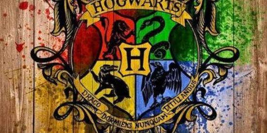 Imagem do grupo de WhatsApp 🌻⃤1ρяσjєтσ_αłσηє🌻⃤