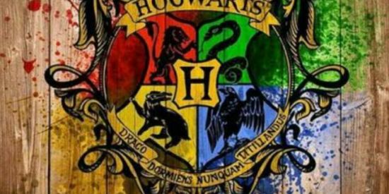 Imagem do grupo de WhatsApp 🌻⃤5ρяσjєтσ_αłσηє🌻⃤