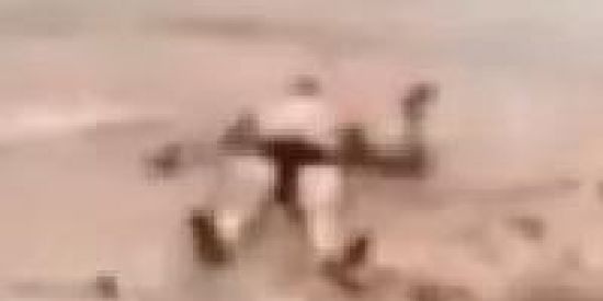 Imagem do grupo de WhatsApp Pedro cálculos