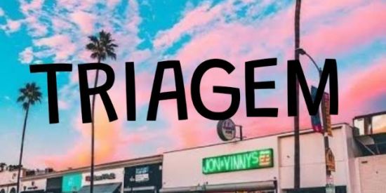 Imagem do grupo de WhatsApp TRIAGEM AO SUCESSO 🚀