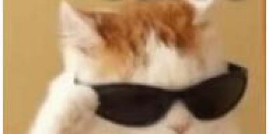 Imagem do grupo de WhatsApp Amizades zueras😂