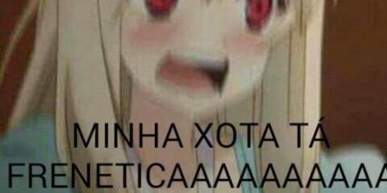 Imagem do grupo de WhatsApp memes shitposting