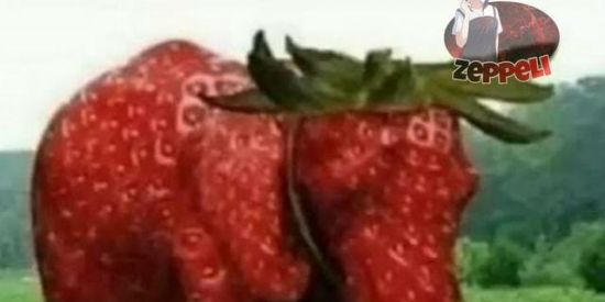 Imagem do grupo de WhatsApp PAPO 🅝🅞🅘🅐