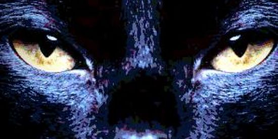 Imagem do grupo de WhatsApp ❤️AMIGOS GALÁTICOS ❤️:)