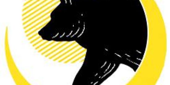 Imagem do grupo de WhatsApp Marketing digital