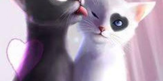 Imagem do grupo de WhatsApp Grupo pra novas amizade❤️