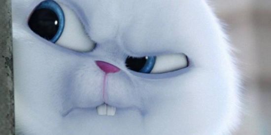 Imagem do grupo de WhatsApp Fr@ses e figurinh@s 💠