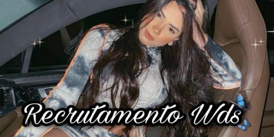 Imagem do grupo de WhatsApp 🦊RECRUTAMENTO WDS🦊