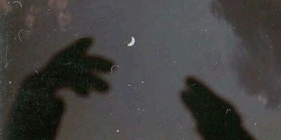 Imagem do grupo de WhatsApp Only the horns🙆🏻‍♀️💗