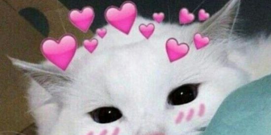 Imagem do grupo de WhatsApp 🔱 PÃO DE MILHO 🔱