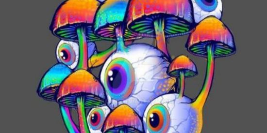 Imagem do grupo de WhatsApp Psiconautas BR