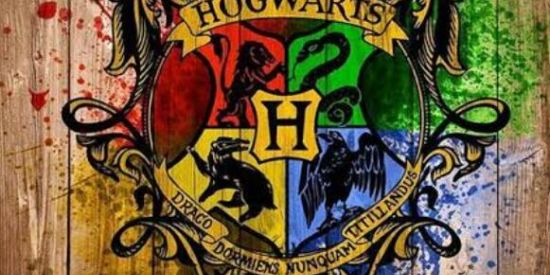 Imagem do grupo de WhatsApp 🌻⃤2ρяσjєтσ_αłσηє 🌻⃤