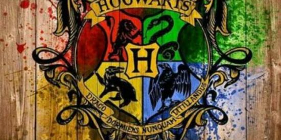 Imagem do grupo de WhatsApp 🌻⃤4ρяσjєтσ_αłσηє🌻⃤