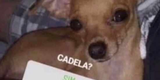 Imagem do grupo de WhatsApp rei e rainhas da favela💋😍