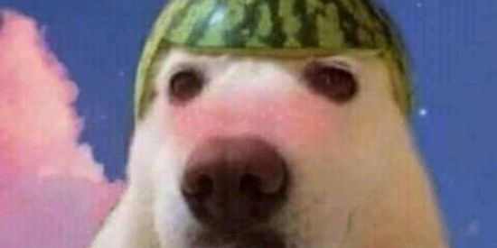 Imagem do grupo de WhatsApp Baianagem