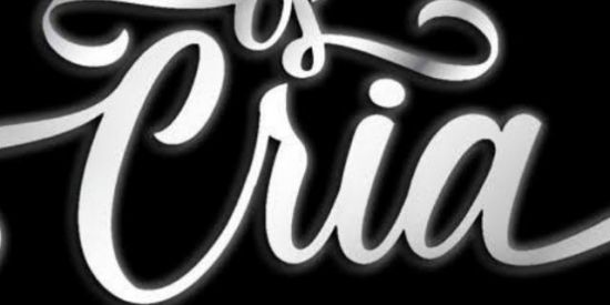 Imagem do grupo de WhatsApp os cria 😎😎