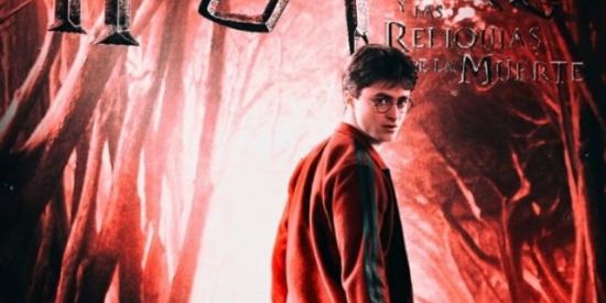 Imagem do grupo de WhatsApp Fã clube Harry Potter