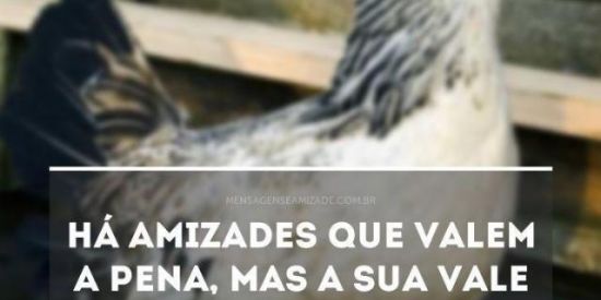 Imagem do grupo de WhatsApp #Amizades novas#  e  "verdadeiras"