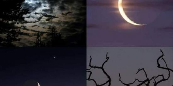 Imagem do grupo de WhatsApp Aleatório... 😁😎👍🏽