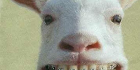 Imagem do grupo de WhatsApp 💖✨ JOGOS ✨💖