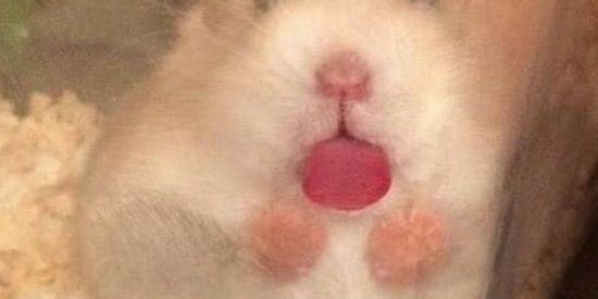 Imagem do grupo de WhatsApp F.R.I.E.N.D.s