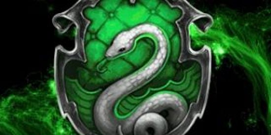 Imagem do grupo de WhatsApp Slythein Mutirão 🐍