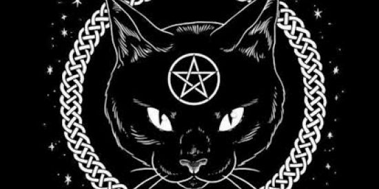 Imagem do grupo de WhatsApp Friends