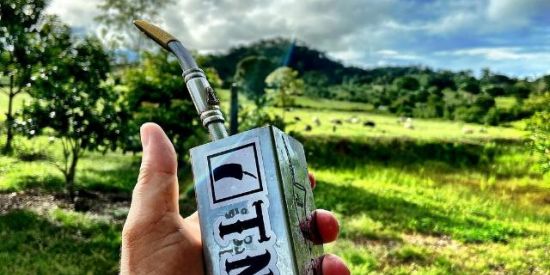 Imagem do grupo de WhatsApp Tereré🍀